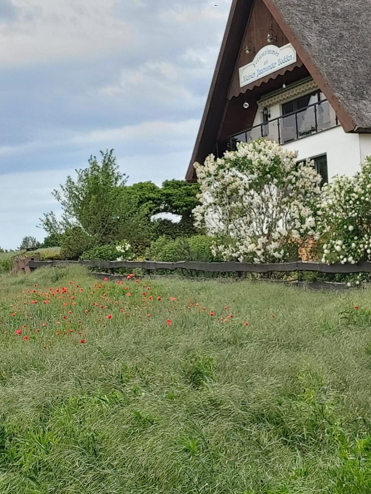 Pension Petersen Bergen Auf Rugen Cameră foto